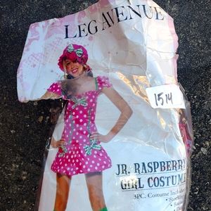 Leg Avenue raspberry costume